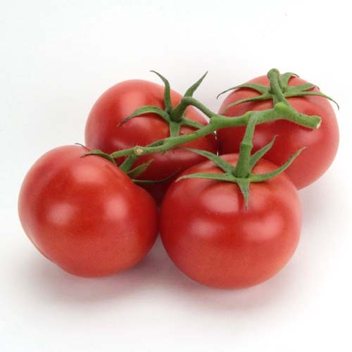 tomates-grappe-extra-de-provence-700g