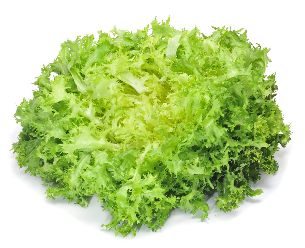 fotolia_34104713_subscription_xl-copy