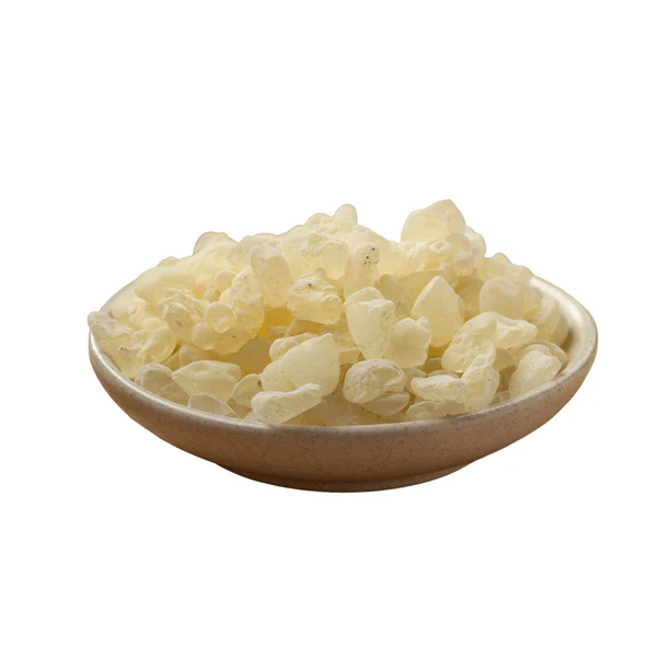 mastic-gum-chios-mastiha-greece-slofoodgroup-393882_600x