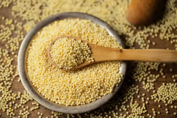 millet-graines_shutterstock_1284646522